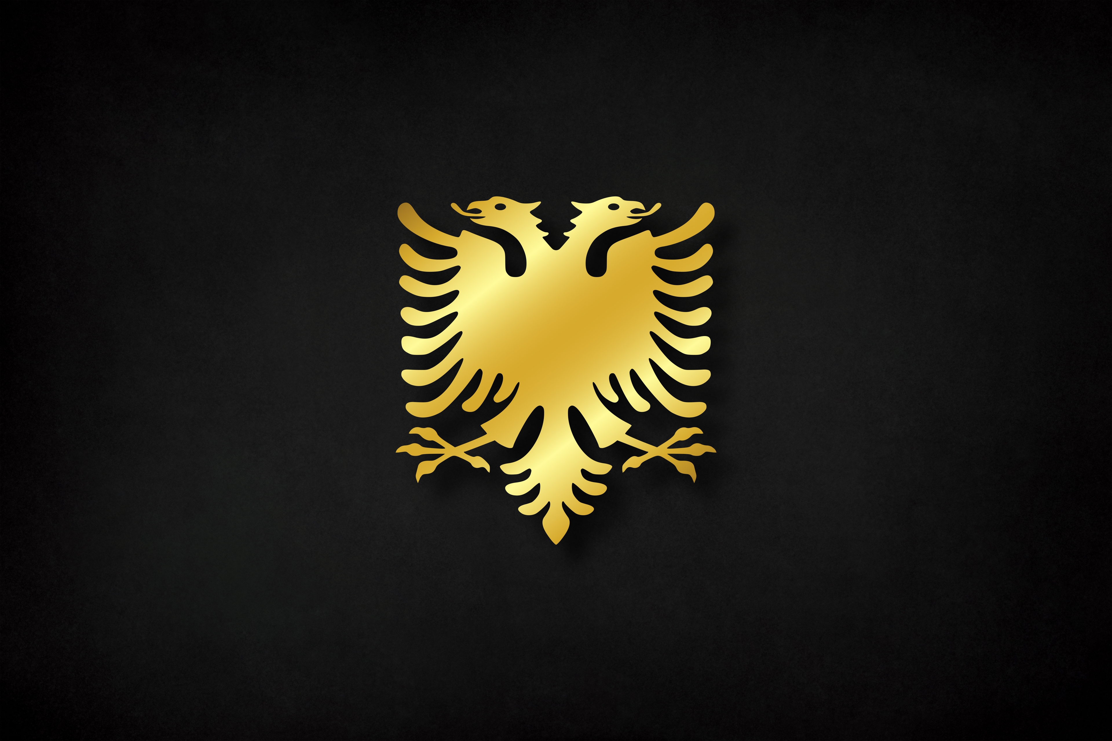 Albanian double-headed eagle in gold on black — the founders-wall seal