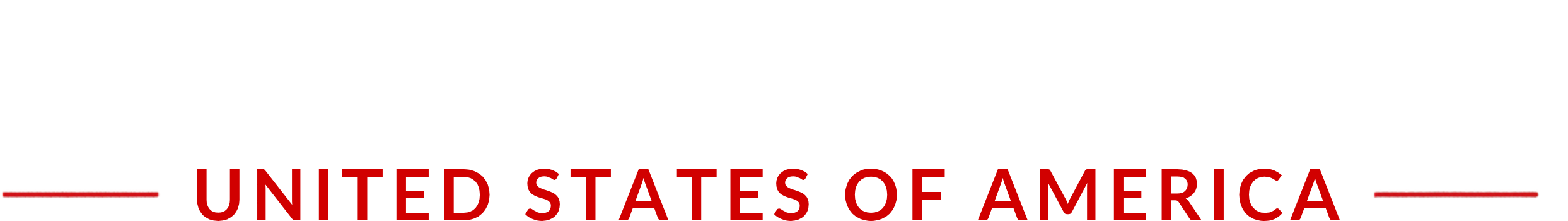 Wordmark — dark surface