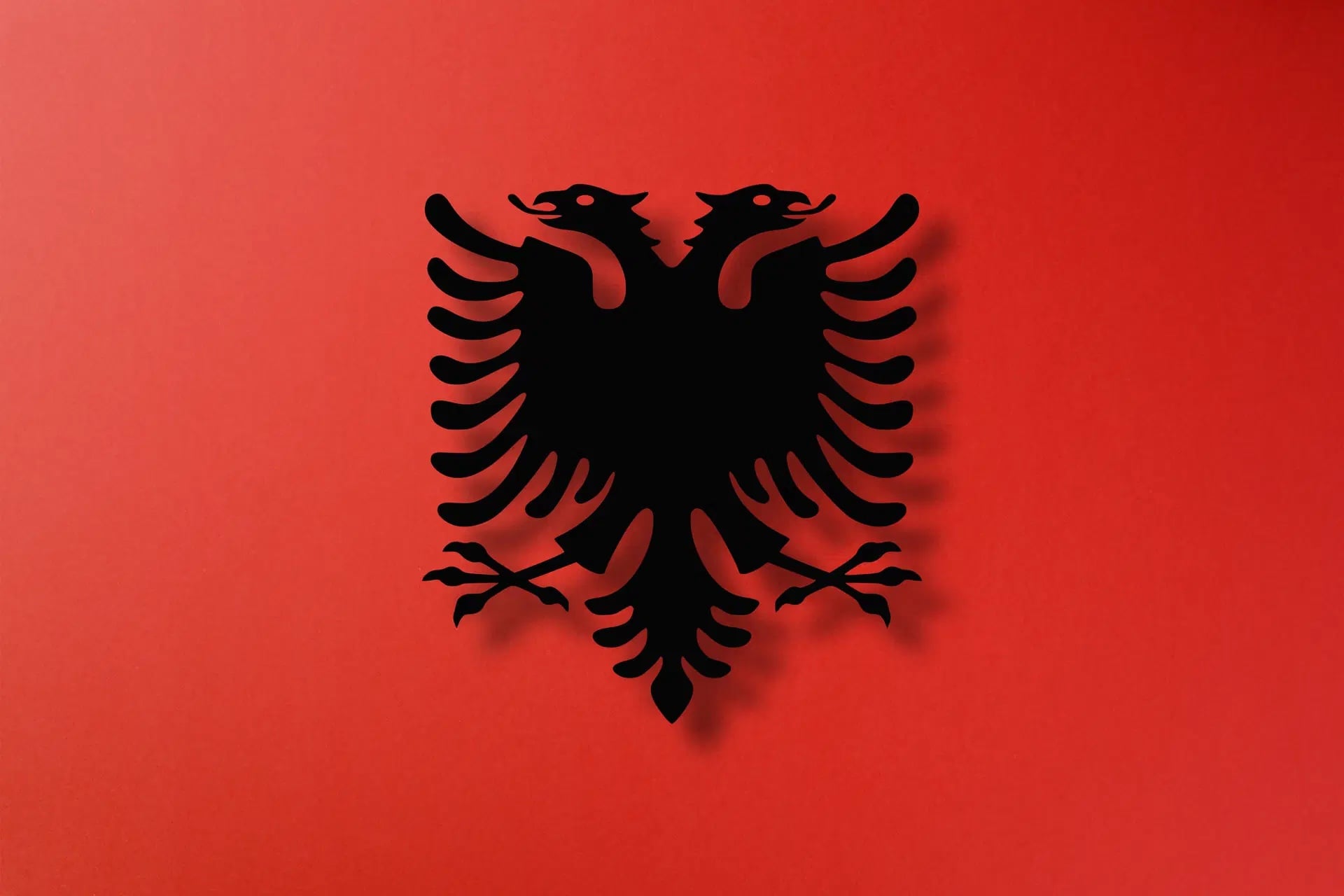 The Albanian double-headed eagle, black on a red field